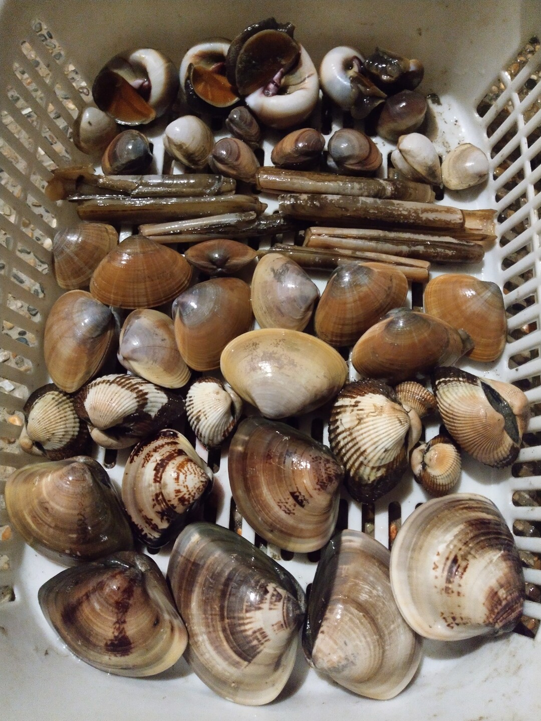 梅雨でも晴れなら魚介祭 土曜は川 アツヒロウさんのモーメント Yamap ヤマップ