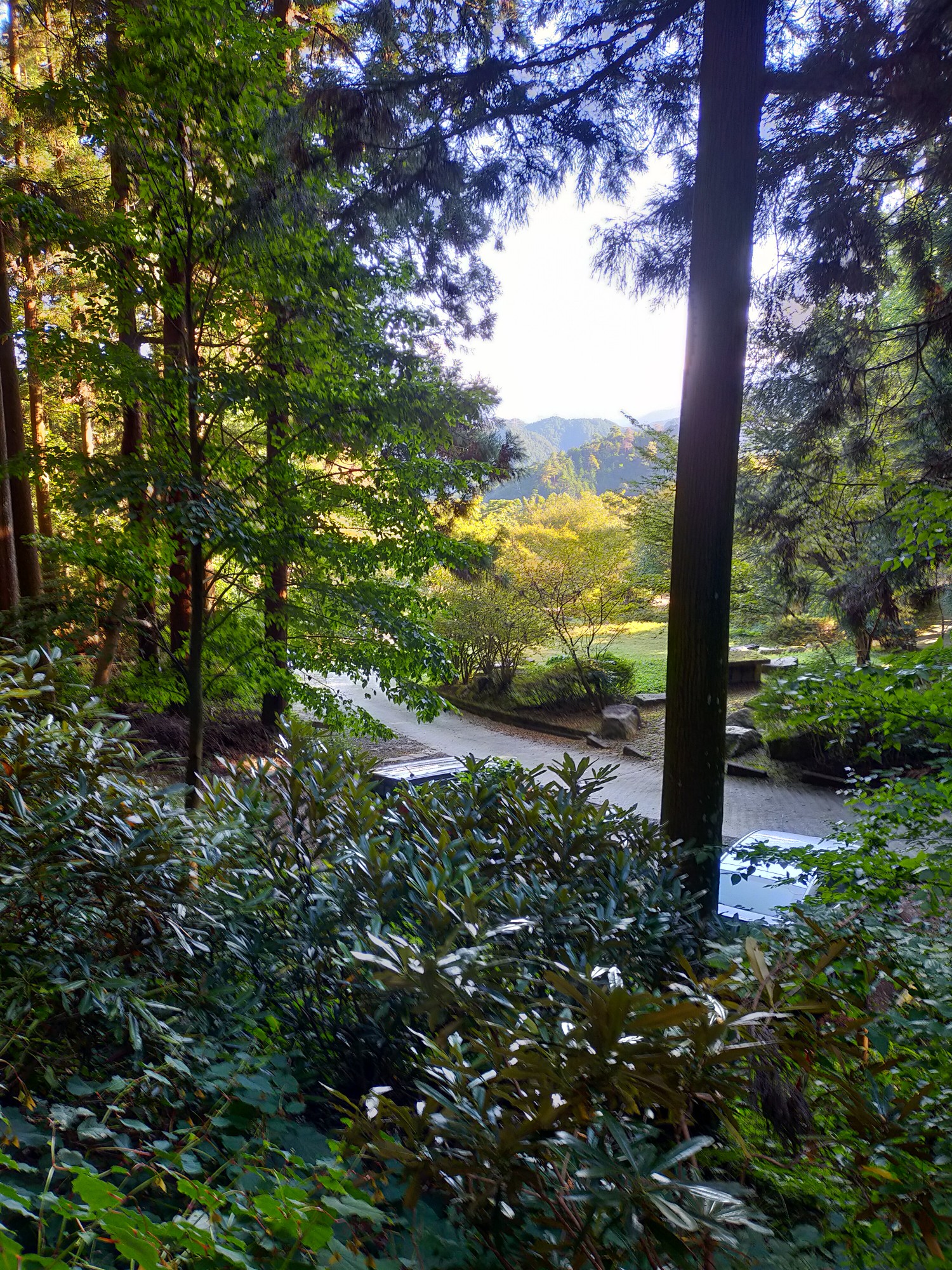岩湧山のすすき 21 10 14 ゆたか1945さんの岩湧山 一徳防山 三石山の活動データ Yamap ヤマップ