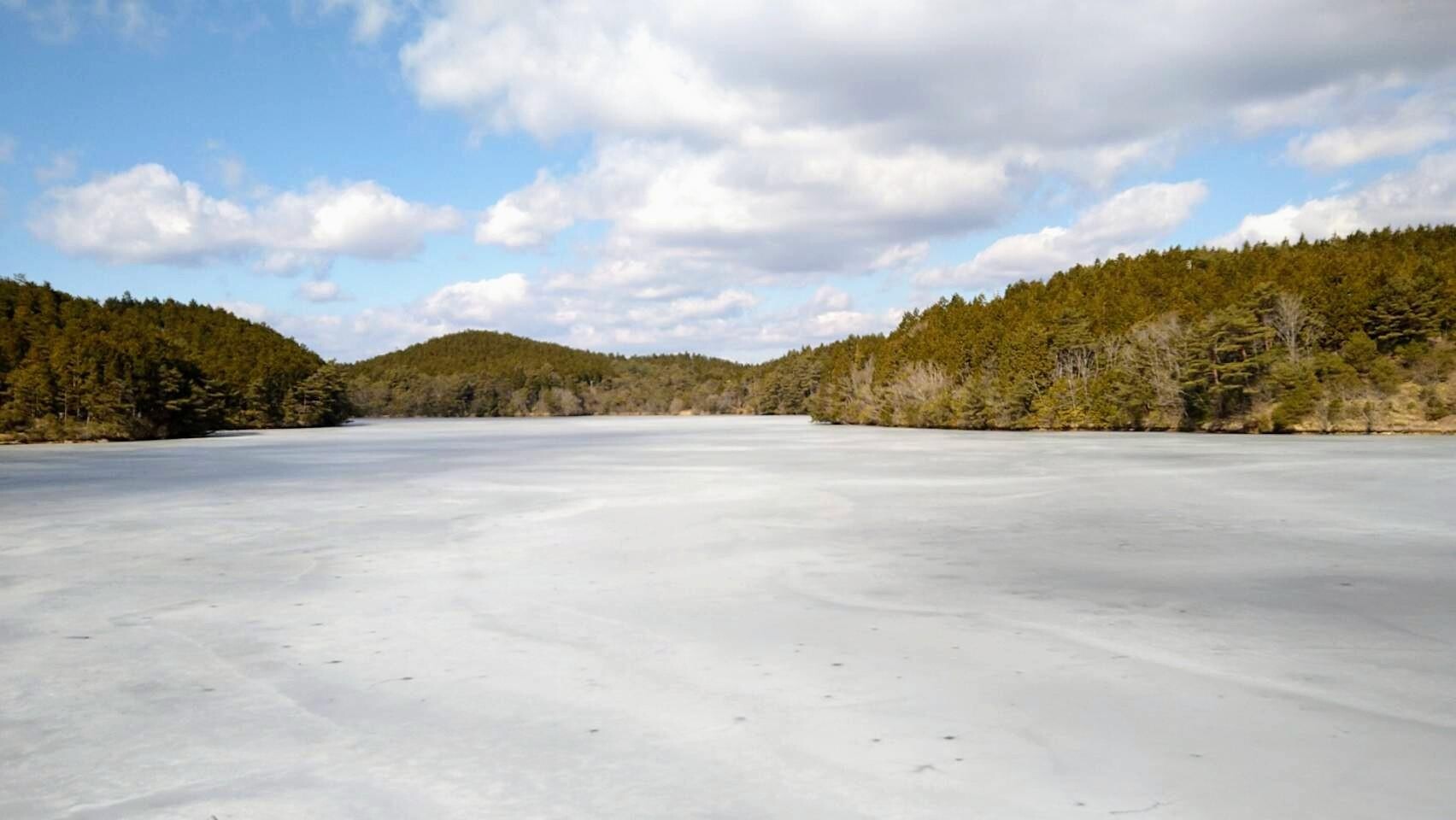 保古山・保古ノ湖 / iwataさんの保古山の活動データ YAMAP / ヤマップ