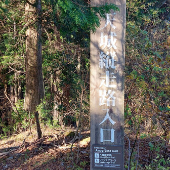 見づらいですが
天城縦走路入口
と書いてあります。
今回は周回ルートです🚶‍♀️