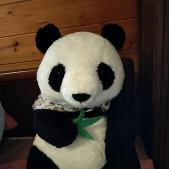 さわパンダ🌸🐼🌸