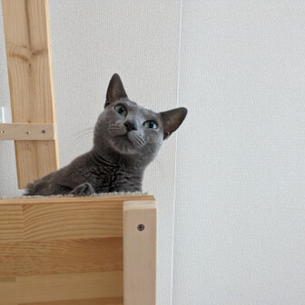 ソーニャの山登り