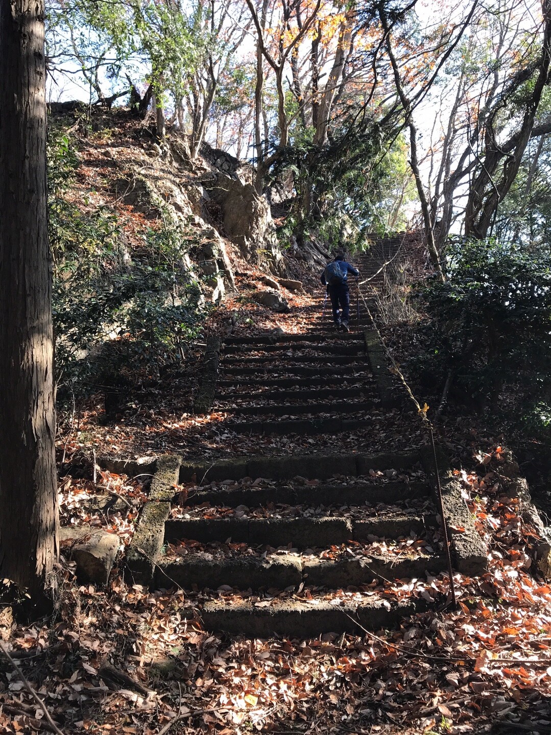 長坂山 栃木県栃木市 高富士山 19 12 14 さとさんの長坂山 高富士山 アド山の活動日記 Yamap ヤマップ