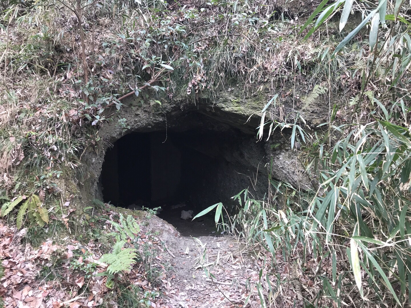 奈良 屯鶴峯防空壕跡の散策 金剛山 二上山 大和葛城山の写真11枚目 防空壕跡にとうちゃこ 今から 中に入って Yamap ヤマップ
