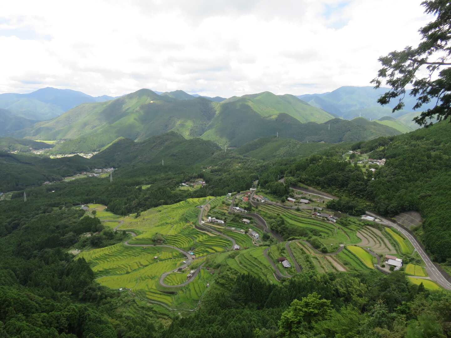 丸山千枚田 熊野古道通り峠 Maruyamasenmaida Kumanokodo Ss5さんの鷲ノ巣山 三重県 鵯山 高チラ山の活動データ Yamap ヤマップ