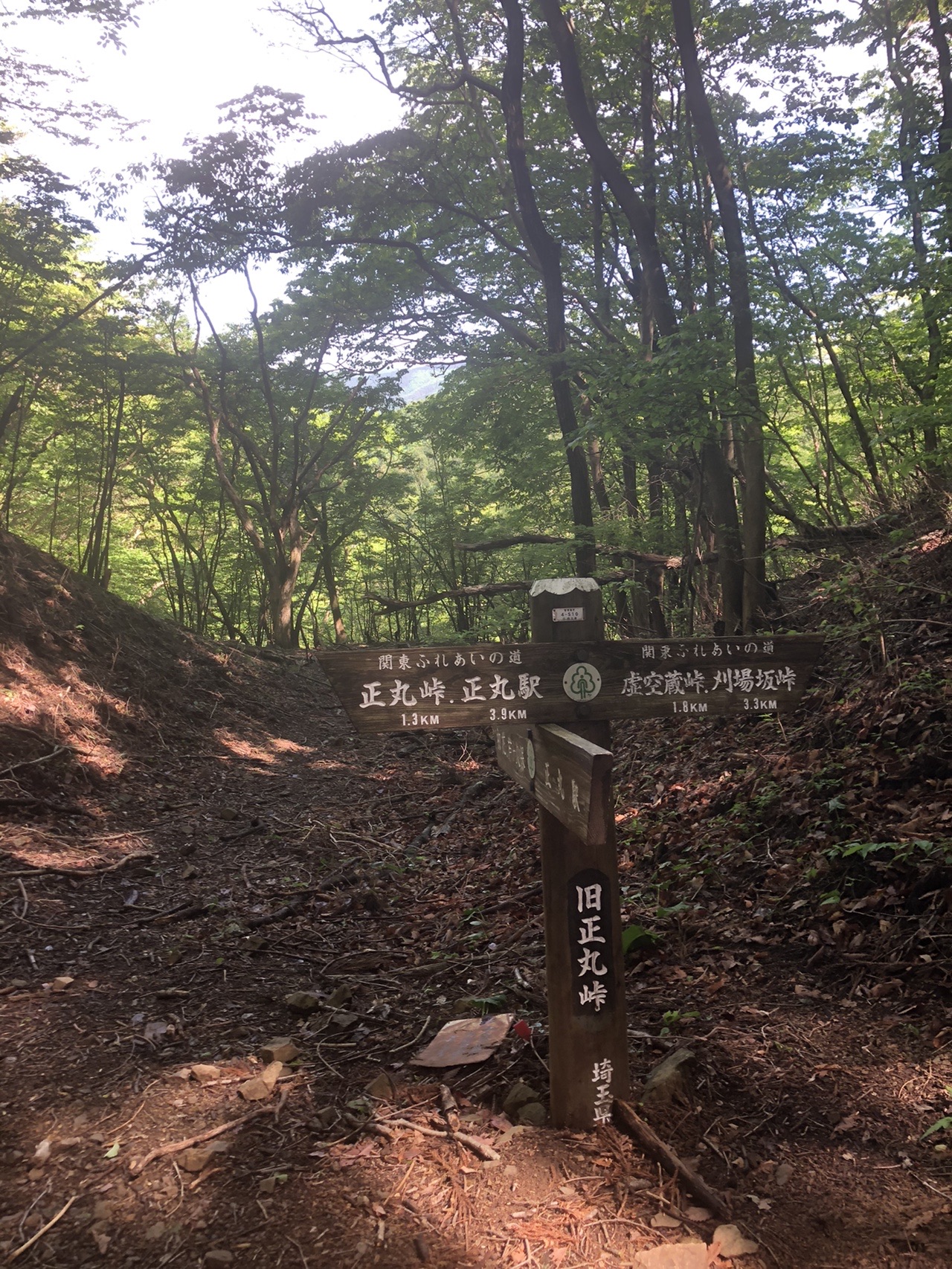 旧正丸峠 カバ岳 大野峠 埼玉県 05 17 ジュディさんの丸山 埼玉県 の活動データ Yamap ヤマップ