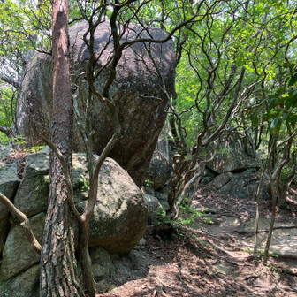 大岩🪨