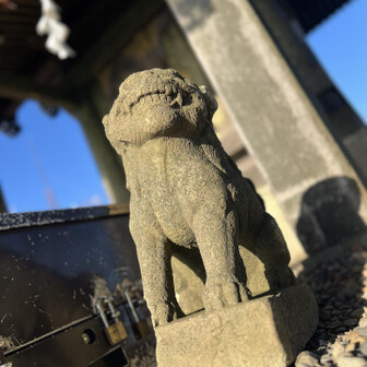 西陽を受ける山頂の狛犬さん