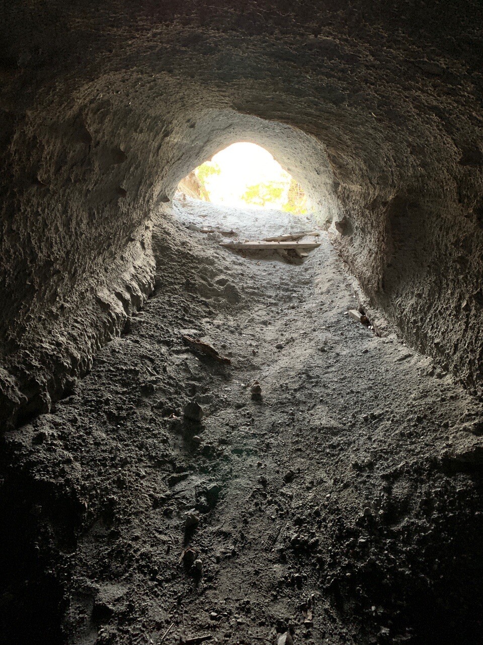 屯鶴峯 洞窟探検 めいくんさんの金剛山 二上山 大和葛城山の活動日記 Yamap ヤマップ