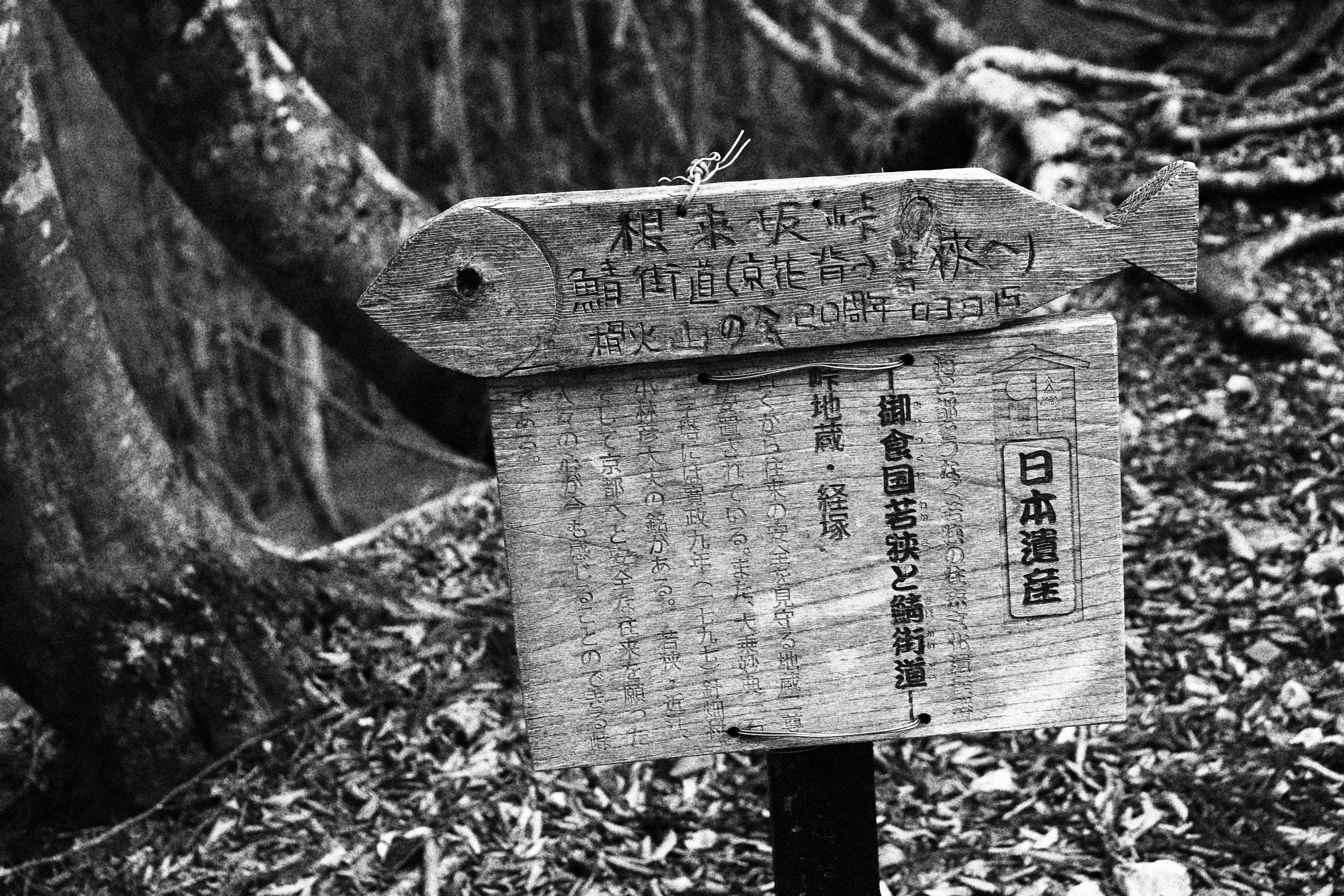 鯖街道79 9km ロードがきつかった小浜 To 京都 3 21 Kitaさんの鯖街道ウルトラマラソンの活動日記 Yamap ヤマップ