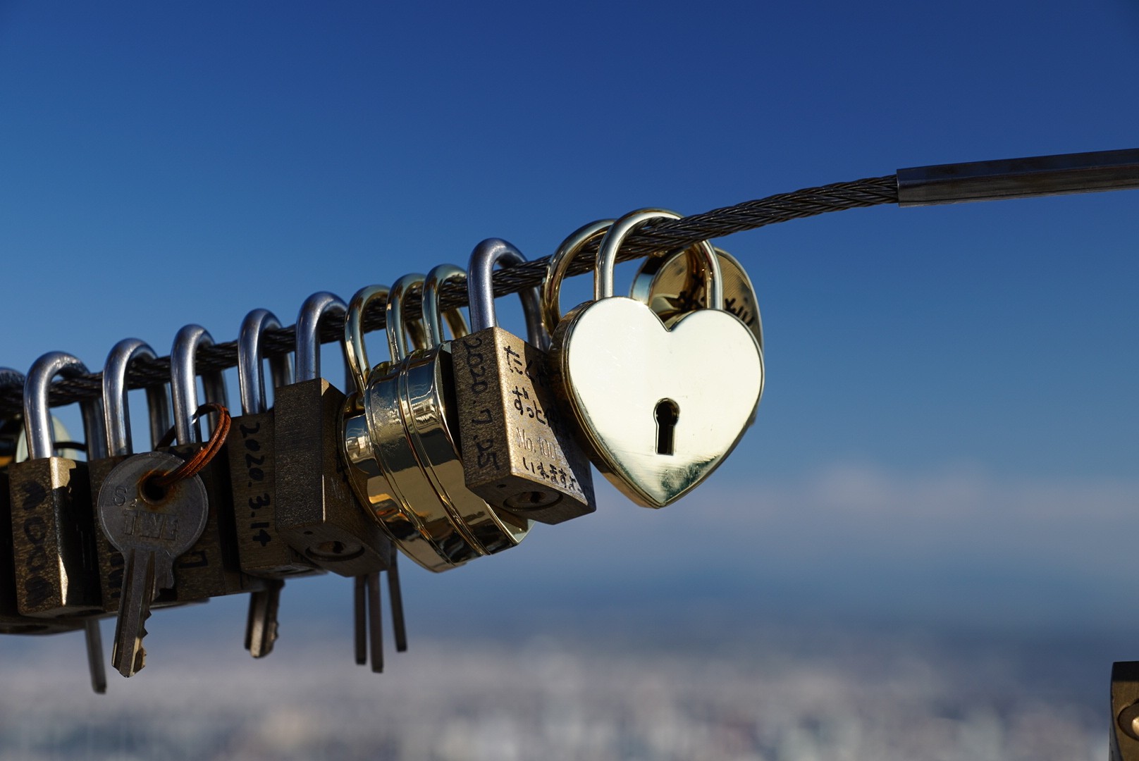 藻岩山 ソノパンダさんの藻岩山の活動データ Yamap ヤマップ