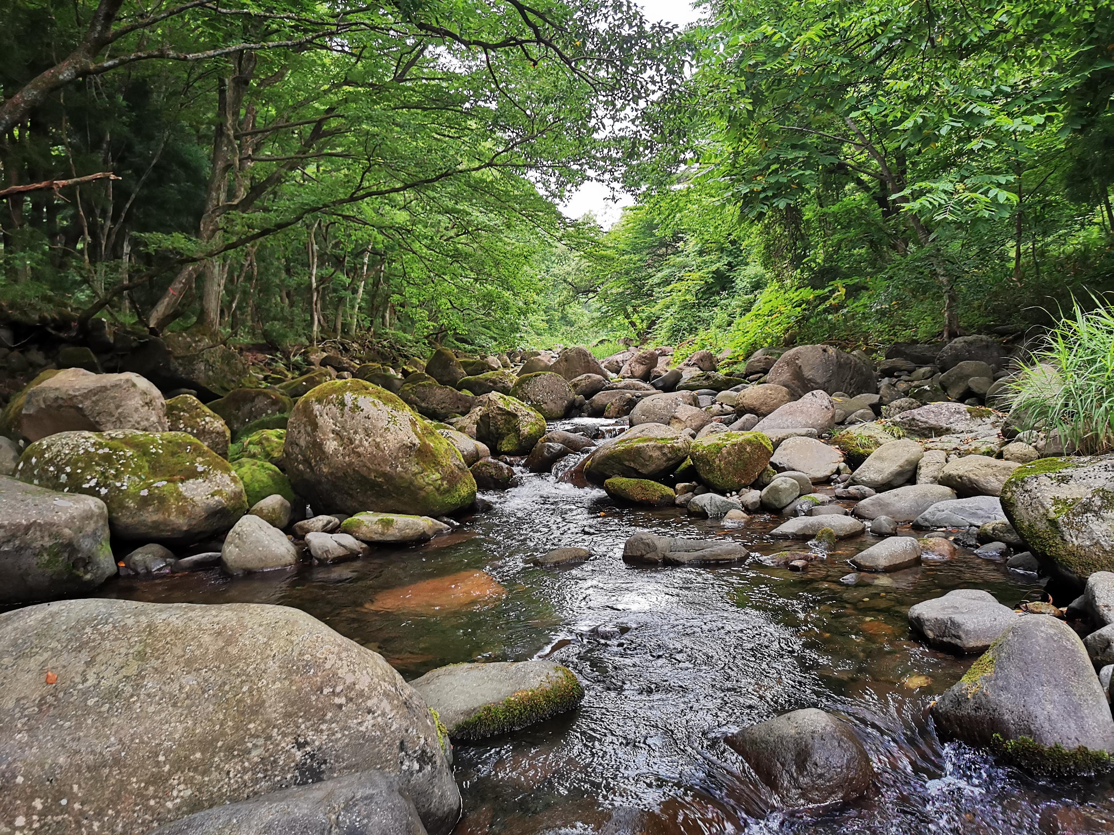 最近ハマってる山用品の安物買い 今回は沢 / はやぶさ半さんの