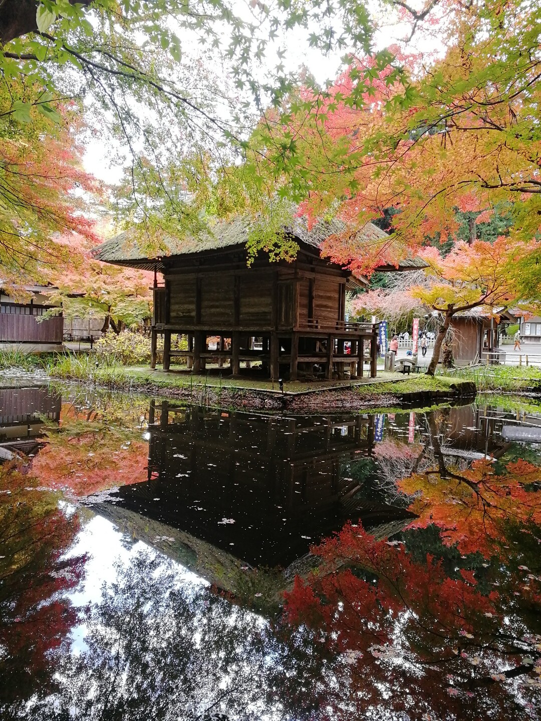 中尊寺と毛越寺の紅葉を見に 観光大型団体 Sobugatakeさんのモーメント Yamap ヤマップ