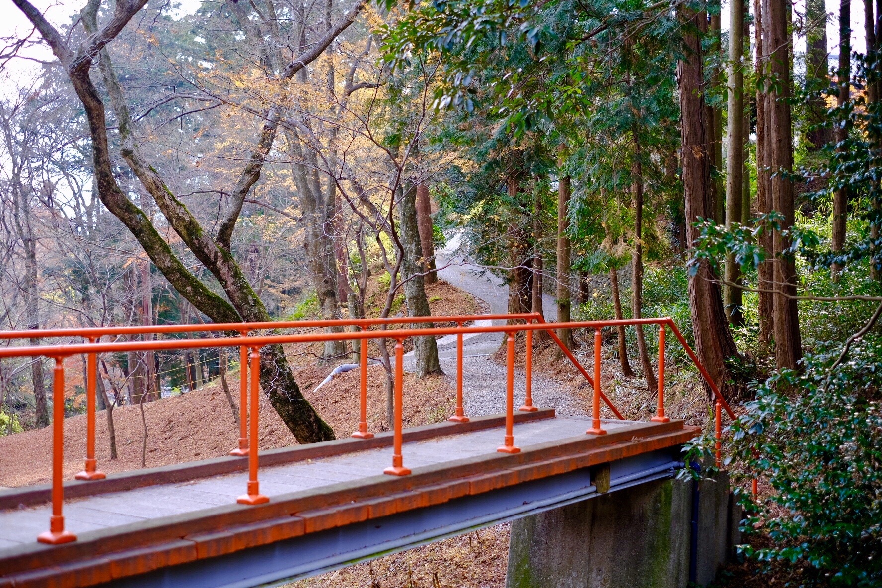 水沢もみじ谷の紅葉は終了いたしました 19 12 21 モニカさんの入道ヶ岳 鎌ヶ岳 仙ヶ岳の活動日記 Yamap ヤマップ