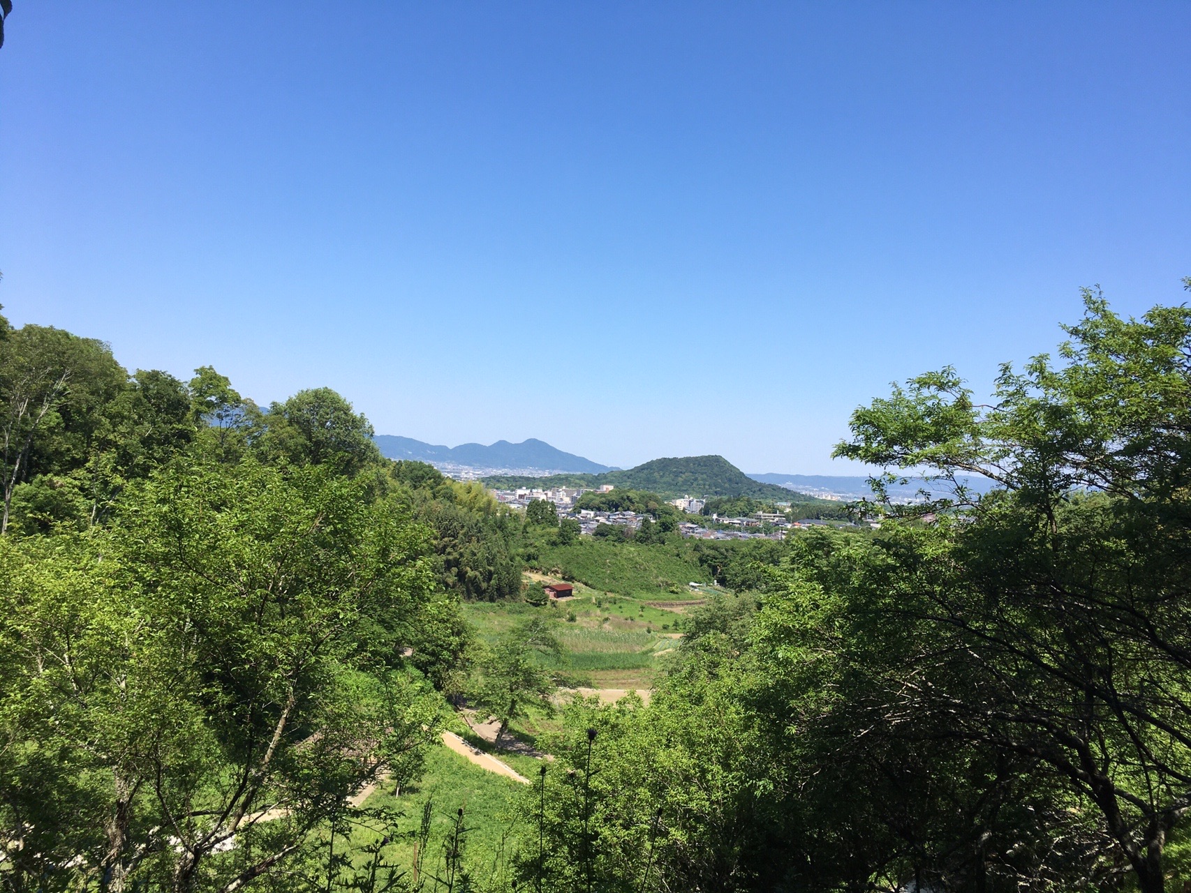 古代を訪ねて 大化改新 明日香村甘樫丘を歩く 高田山男さんの大和三山 天香久山 畝傍山 耳成山 の活動データ Yamap ヤマップ