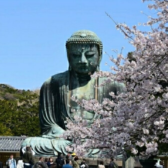 浅野学園・銅像山 浅野総一郎翁銅像 / ryuyuさんの横浜市 北エリアの活動データ YAMAP / ヤマップ