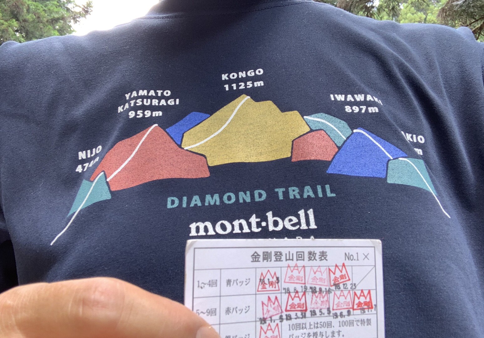 8月の金剛山 Sim Cinさんの金剛山 二上山 大和葛城山の活動日記 Yamap ヤマップ