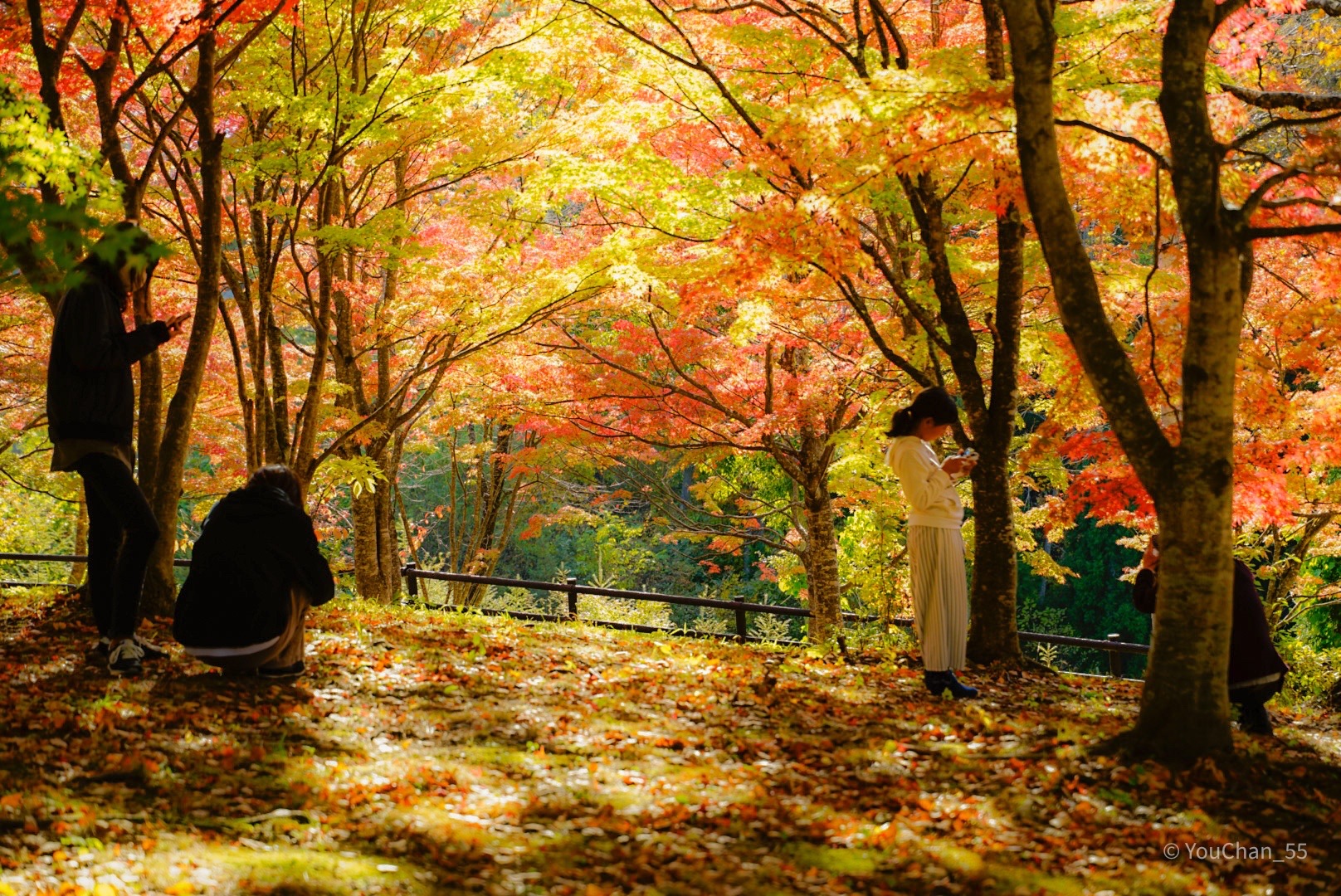 167 不習岳 ならわず だけ ようちゃんさんの八戸市の活動データ Yamap ヤマップ