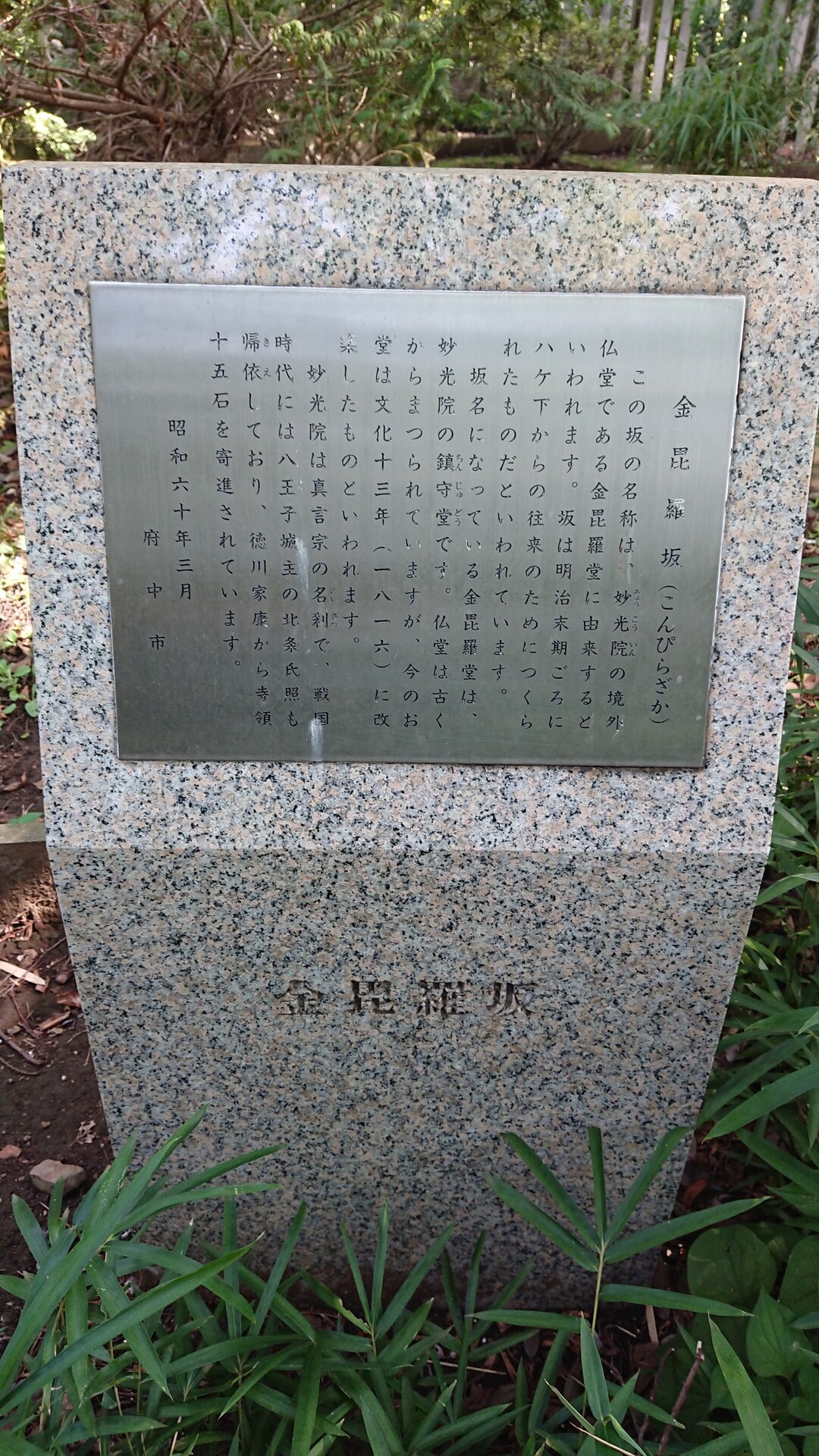 旧品川道 ハケ沿いの旧道 19 08 29 Hamさんの甲州街道 府中宿 横山宿 の活動日記 Yamap ヤマップ