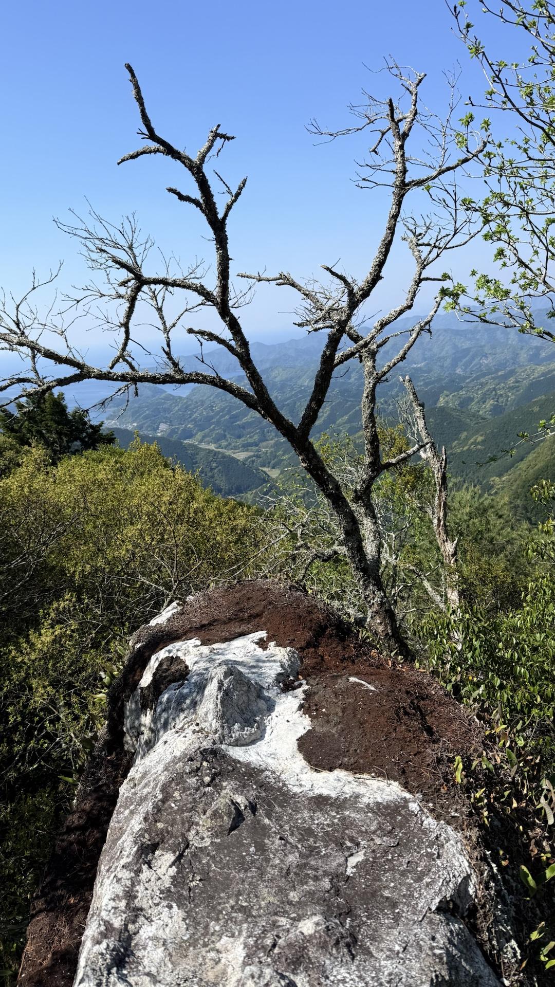 諾炬羅山（三重） | YAMAP / ヤマップ