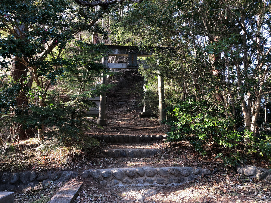 愛宕山 東京都西多摩郡奥多摩町 東京 の山総合情報ページ 登山ルート 写真 天気情報など Yamap ヤマップ