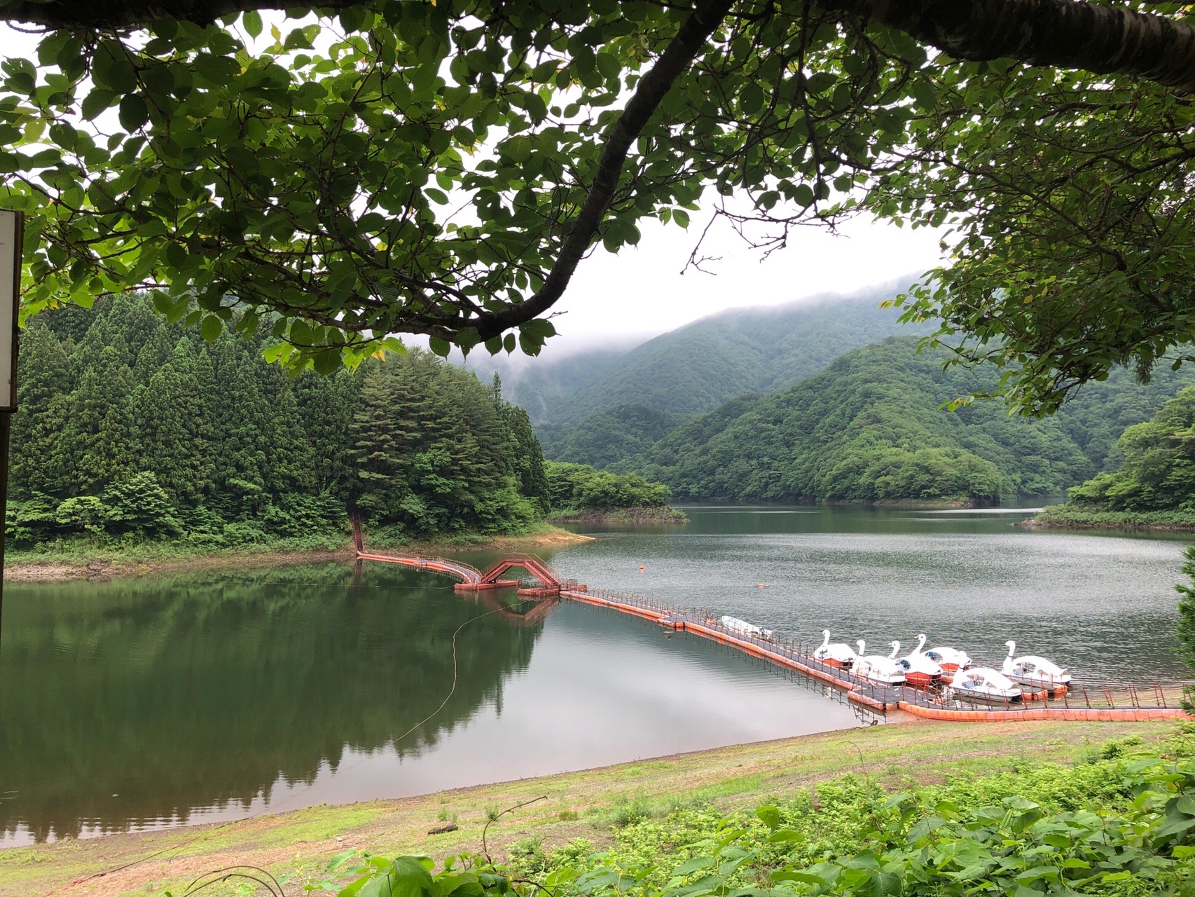 新潟県森林浴の森百選 二子島森林公園 06 26 ケロよんさんの村上市 朝日地区の活動データ Yamap ヤマップ