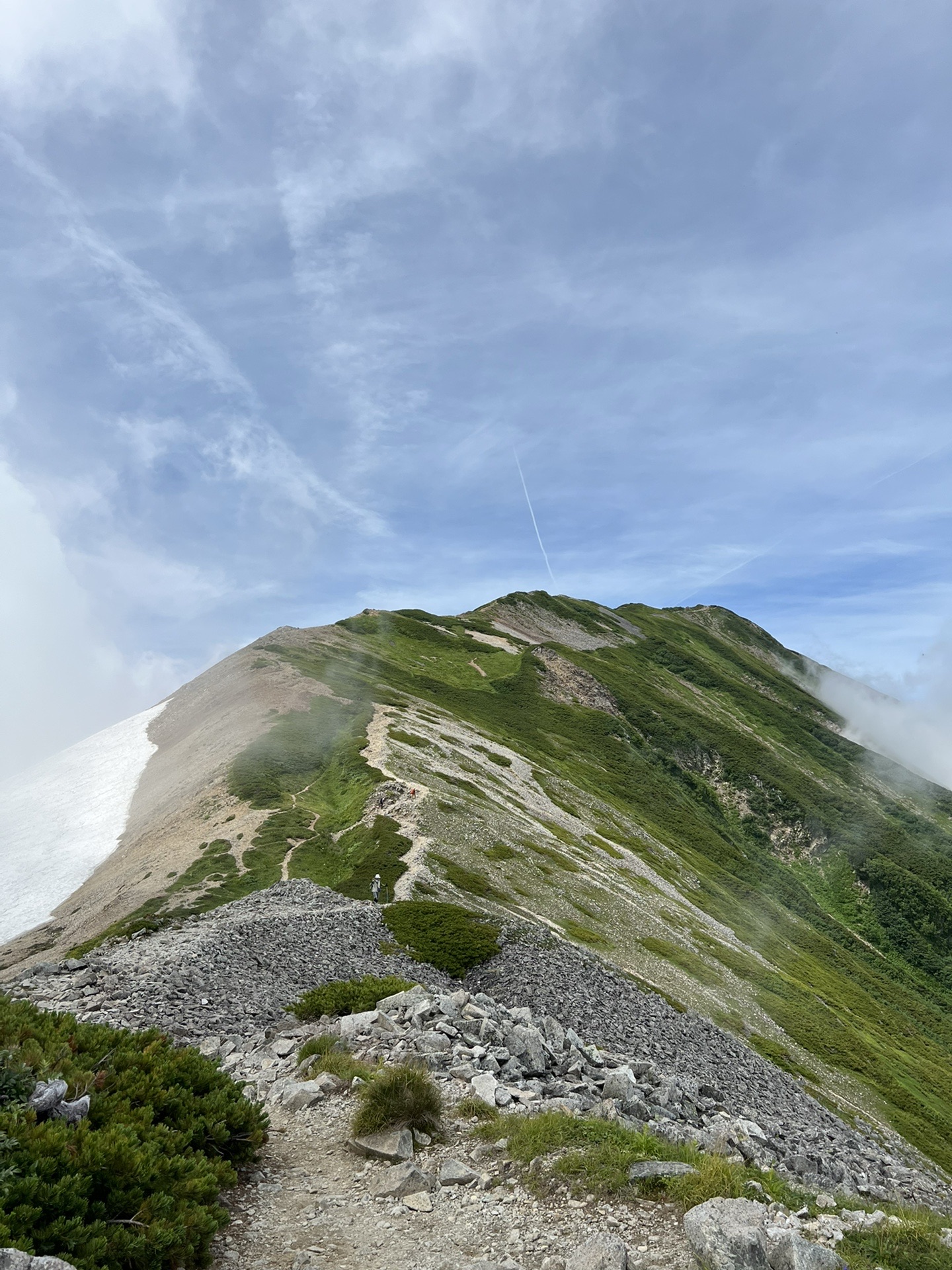 高山植物の楽園 夏の白馬大池と白馬岳 天気予報なんてラララ Himi ひみさんの白馬岳 小蓮華山の活動データ Yamap ヤマップ