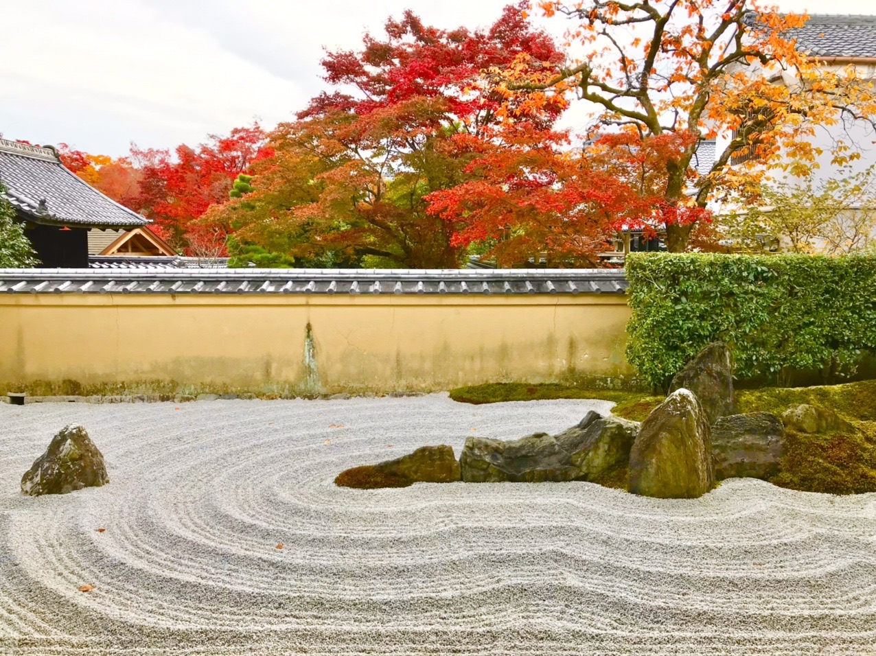 京のさんぽ41 大徳寺 21 11 21 しろぱかさんの京都一周トレイルの活動日記 Yamap ヤマップ