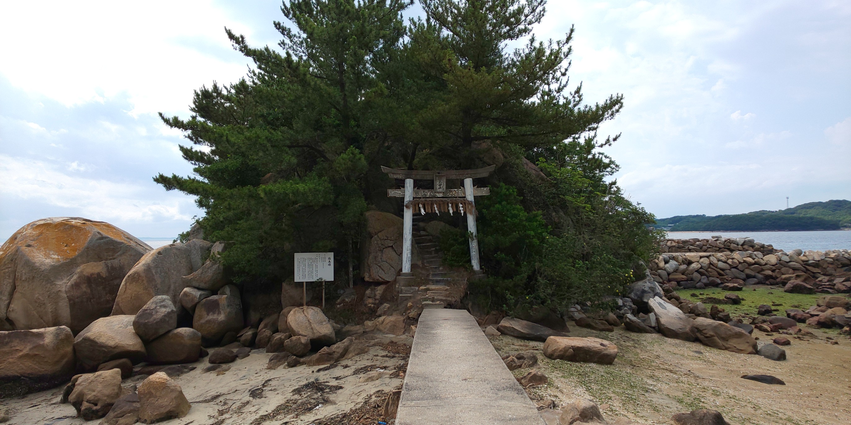 ハマボウと箱島 21 07 11 Jijiさんの 公式 福岡市 防災情報含む の活動日記 Yamap ヤマップ