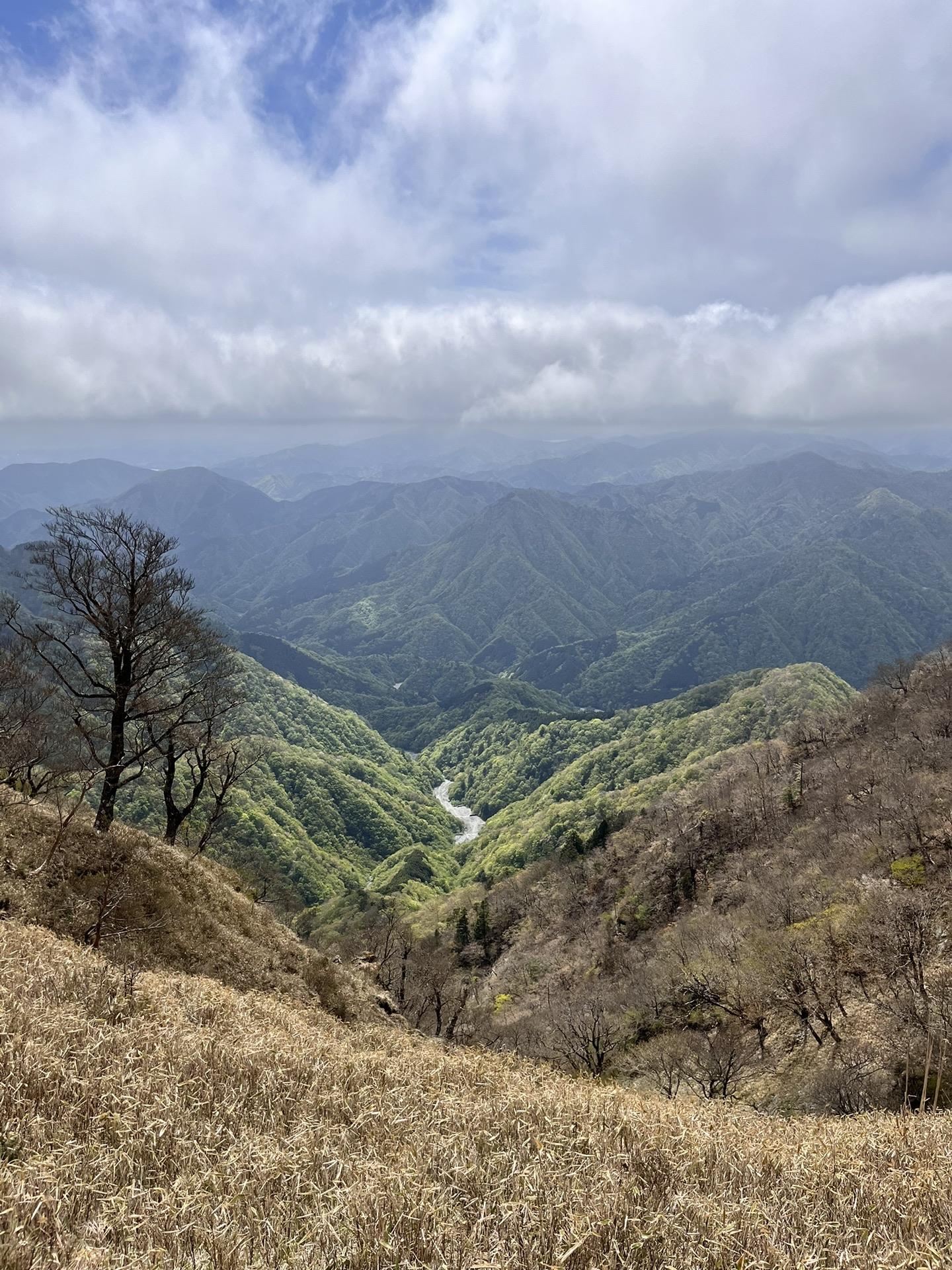 檜洞丸・熊笹ノ峰・大笄・小笄 / トシチャンさんの塔ノ岳・丹沢山・蛭ヶ岳の活動データ YAMAP / ヤマップ