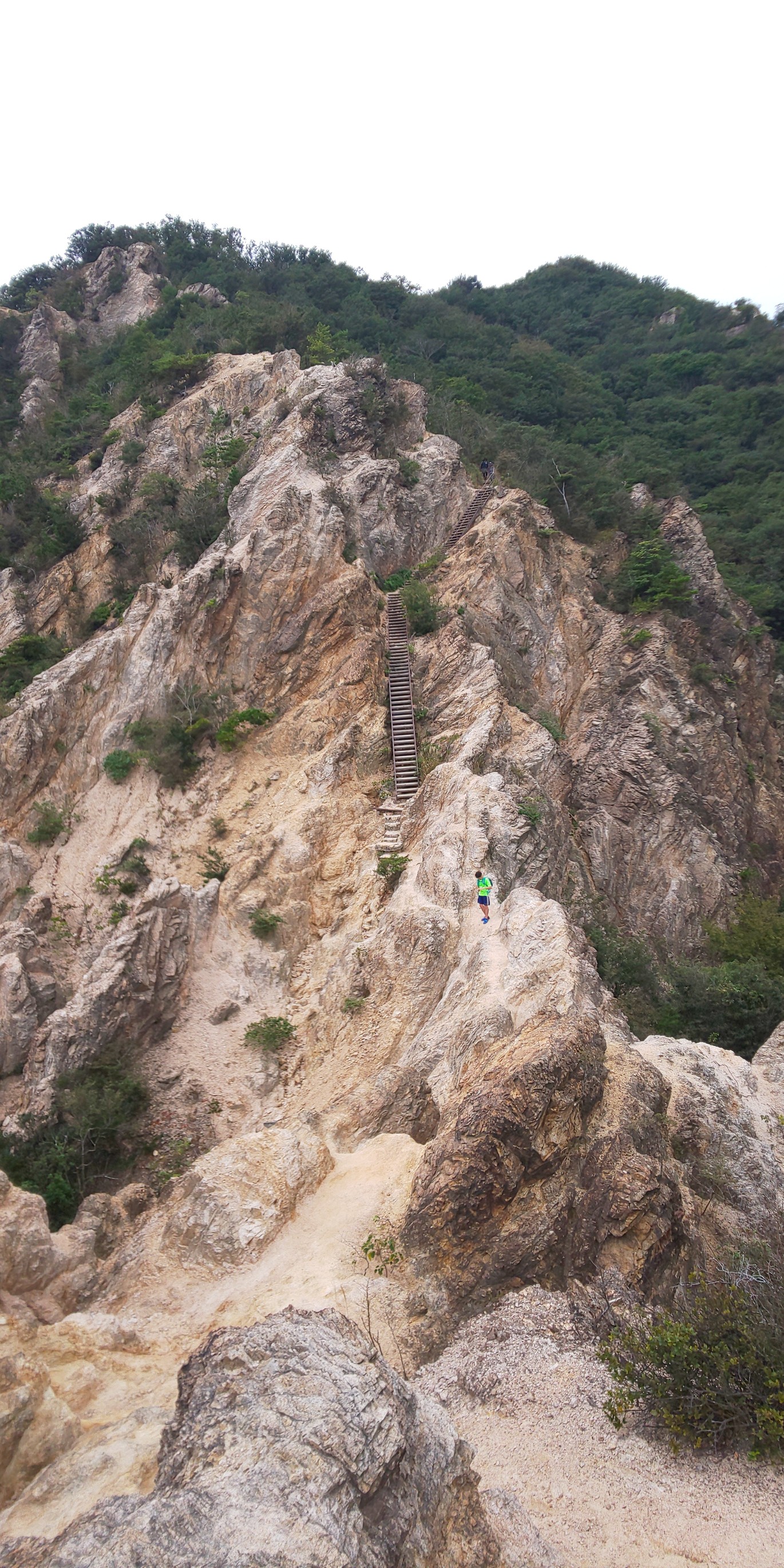 六甲山分割縦走計画 須磨浦 馬の背 妙法寺 らいじんぐさんさんの六甲山 長峰山 摩耶山の活動データ Yamap ヤマップ
