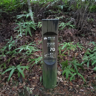 熊野古道 小辺路 段々番号が減っていきます