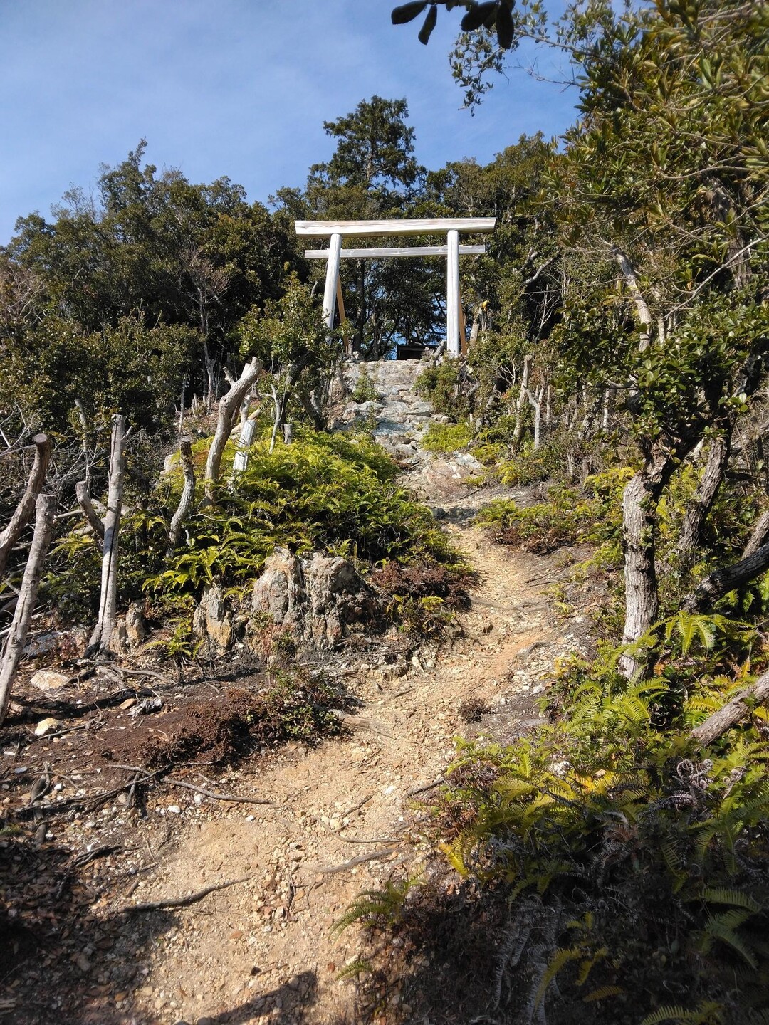 五ヶ所浅間山（五ケ所富士）付近の山々 / nakagawa11さんの八称宣山・京路山の活動データ YAMAP / ヤマップ