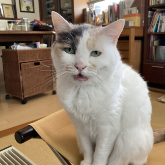 しんちゃん