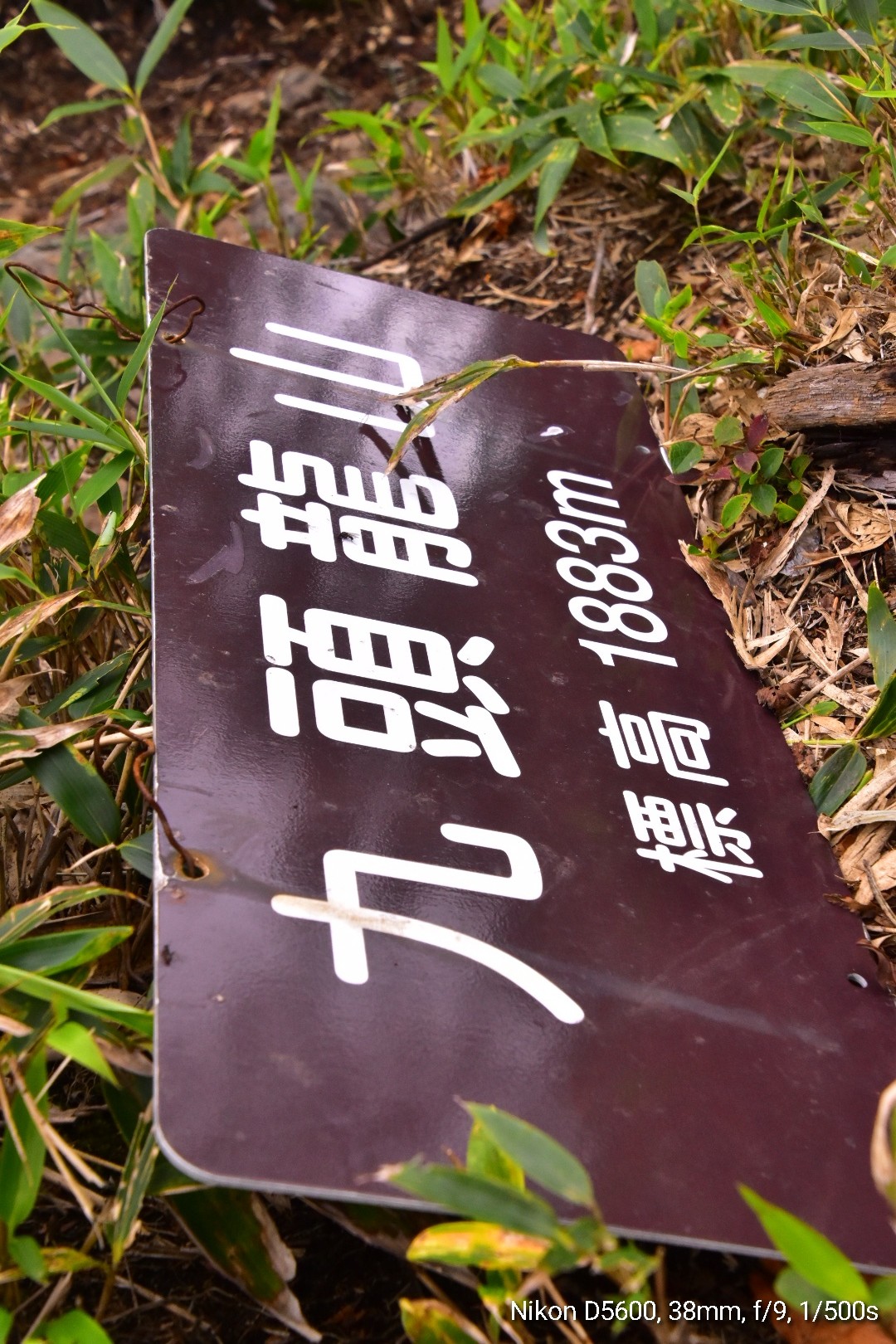 九頭龍って文字にそそられて ブルプルになって Tameさんの高妻山 戸隠山の活動データ Yamap ヤマップ