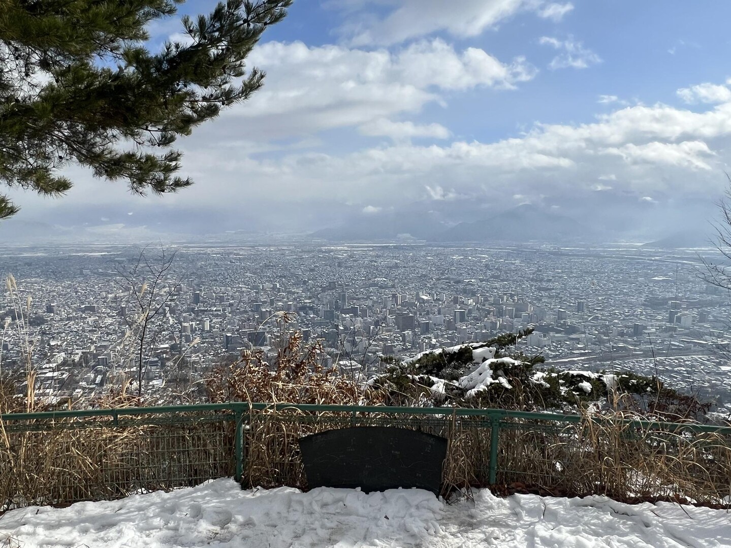 旭山 / あざらしくんさんの旭山の活動データ YAMAP / ヤマップ