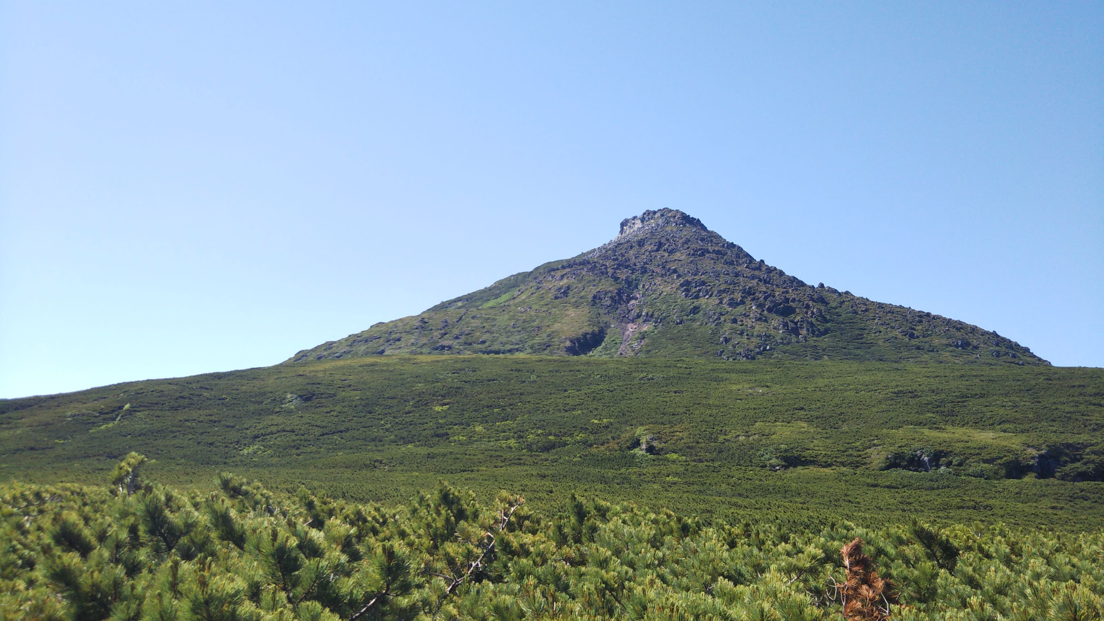 絶版 週刊花の百名山18阿寒岳 斜里岳 清里町 登山道ルート地図 北海道阿寒町メアカンフスマ 知床半島斜里町チシマクモマグサ 羅臼岳 豪華 羅臼岳