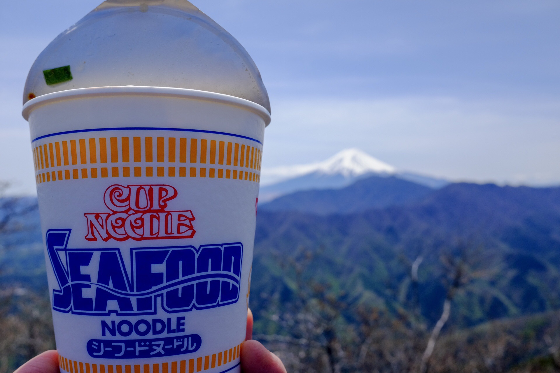 秀麗富嶽十二景 4番 滝子山はかなりいい 平成最後のパーフェクト富士山 かつきちさんの滝子山 大谷ヶ丸 笹子雁ヶ腹摺山の活動日記 Yamap ヤマップ