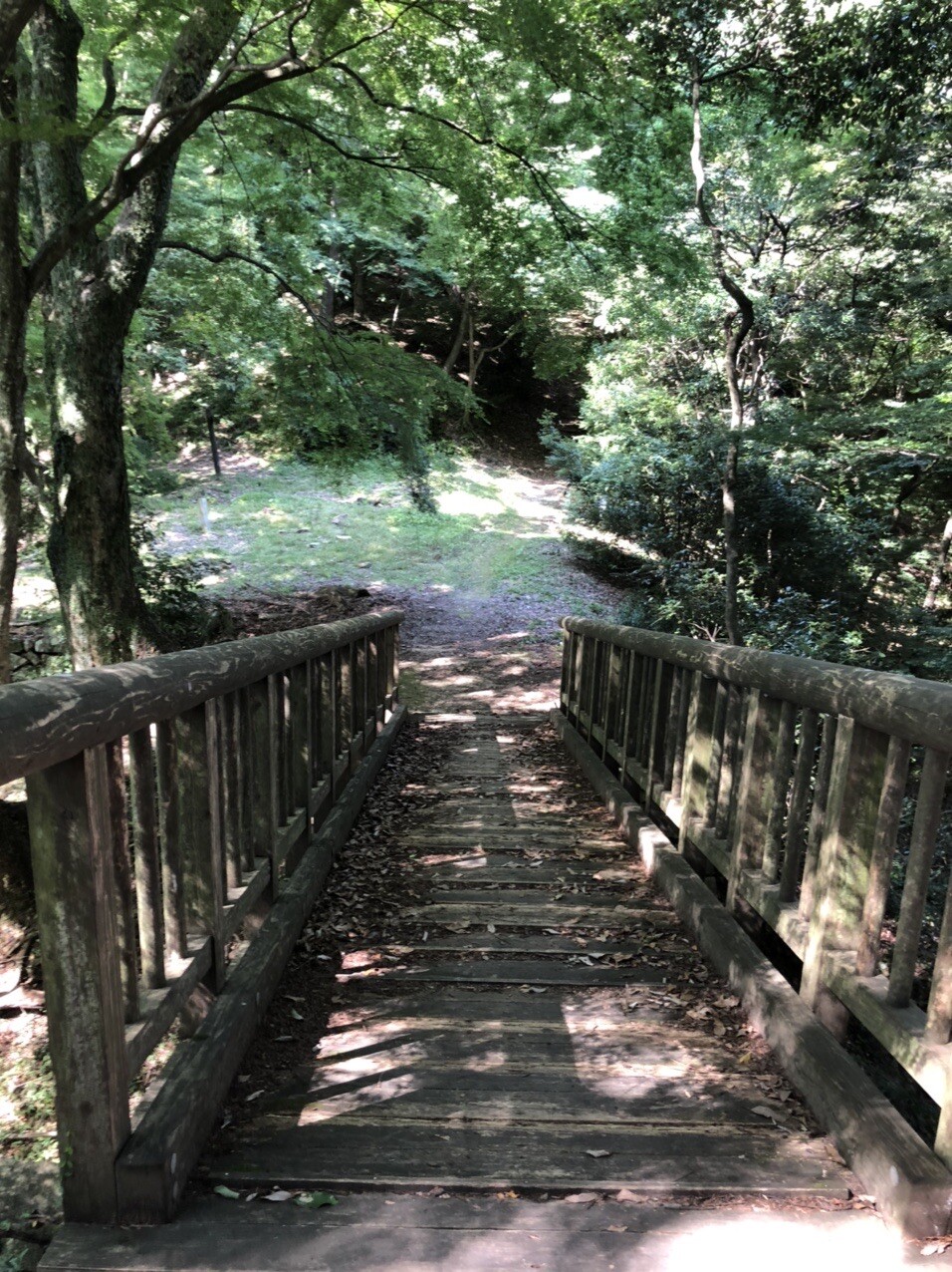 臥牛山 備中松山城と吊り橋 備中松山城の写真18枚目 小さな橋を渡って Yamap ヤマップ