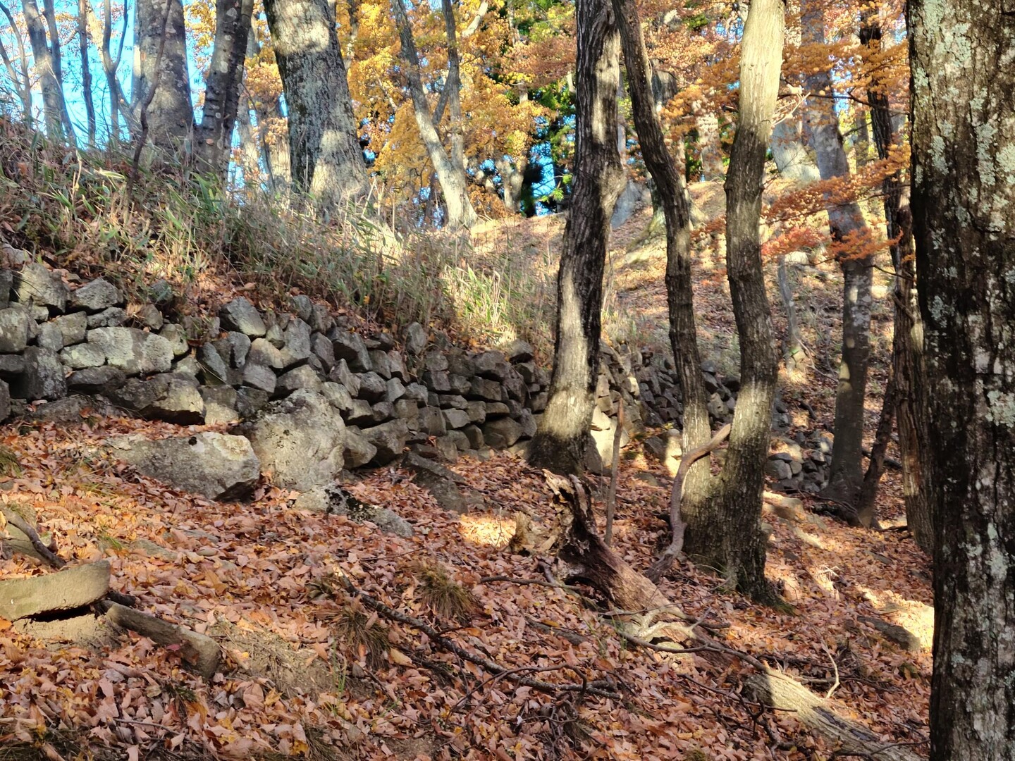 埴原城跡 / TEPPY さんの鉢伏山・高ボッチ山・三峰山の活動データ YAMAP / ヤマップ