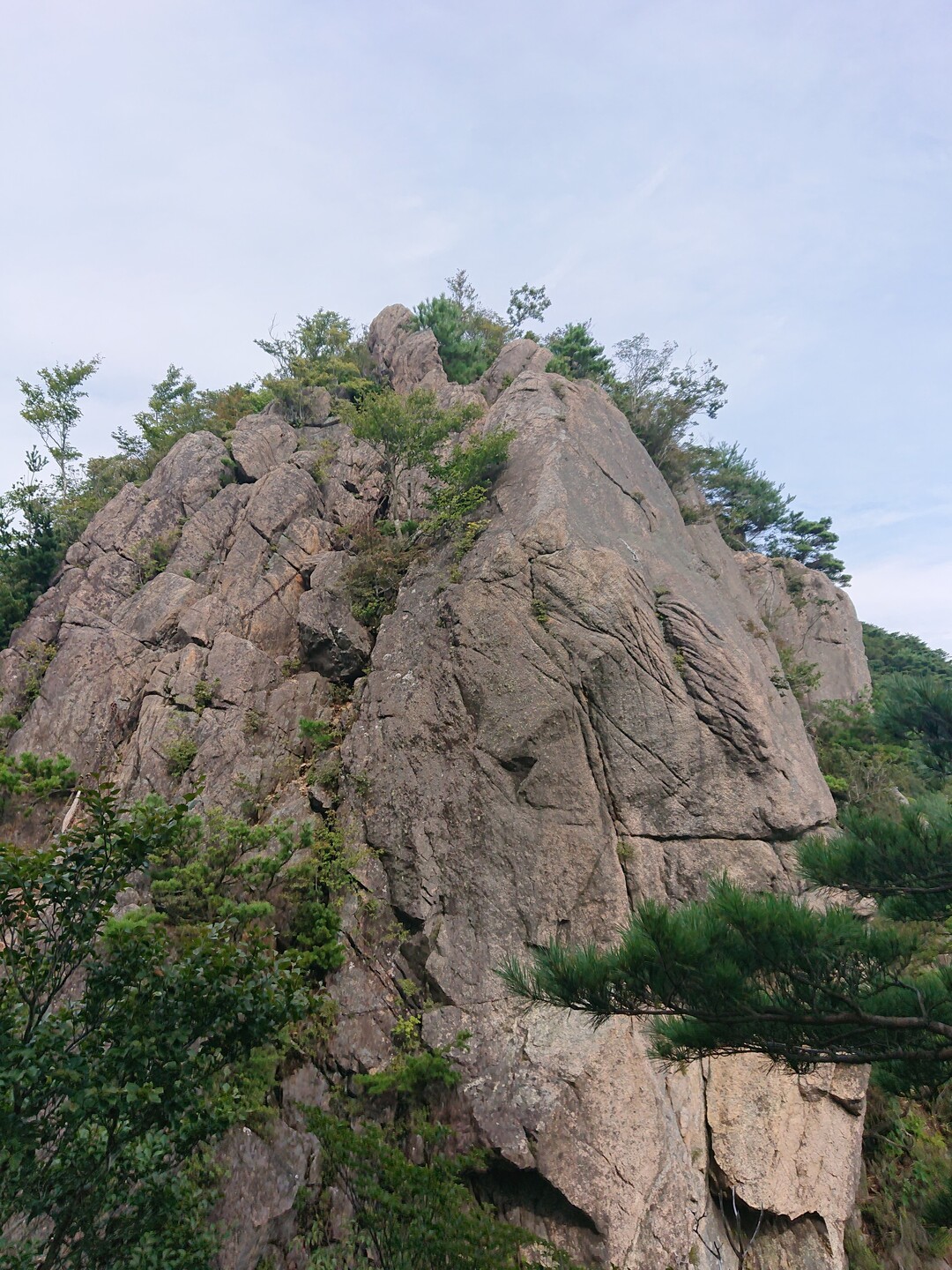 二ッ箭山20190904 / モリタさんの二ッ箭山・三森山・猫鳴山の活動データ YAMAP / ヤマップ