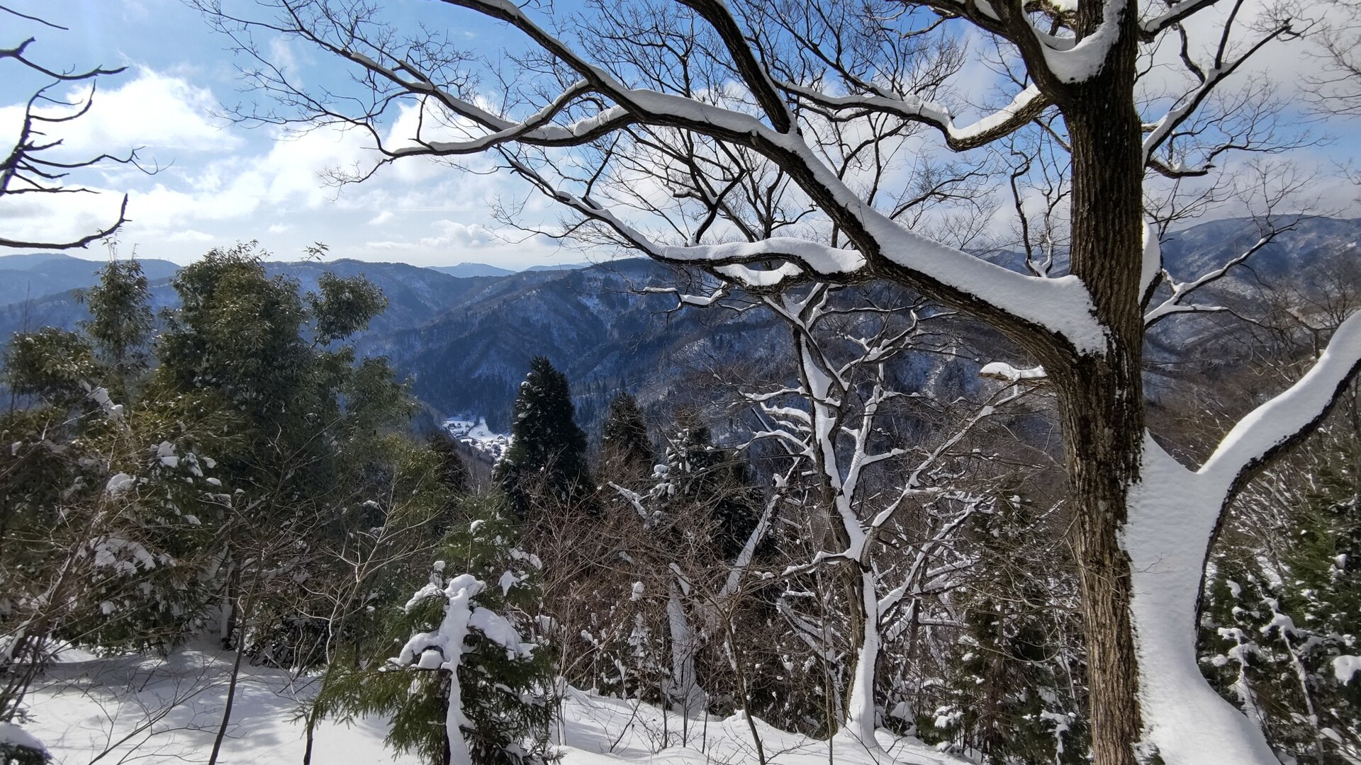七七頭ヶ岳(七々頭ヶ岳) / 新谷山・妙理山・七七頭ヶ岳の写真22枚目 YAMAP / ヤマップ