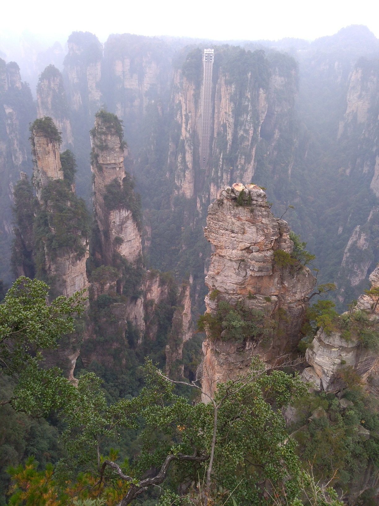 武陵源2 3 19 11 12 Fさんの武陵源の活動日記 Yamap ヤマップ