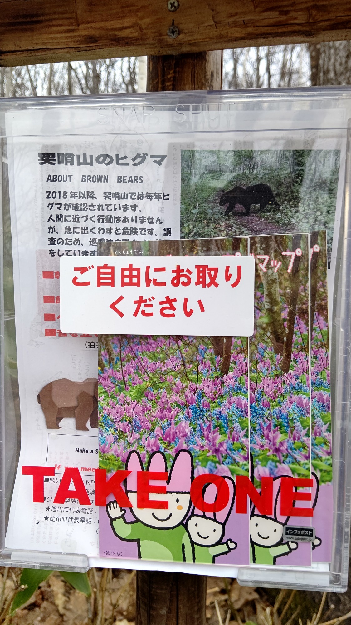 早過ぎたんだ 突哨山 ミノフスキーさんの突哨山の活動データ Yamap ヤマップ