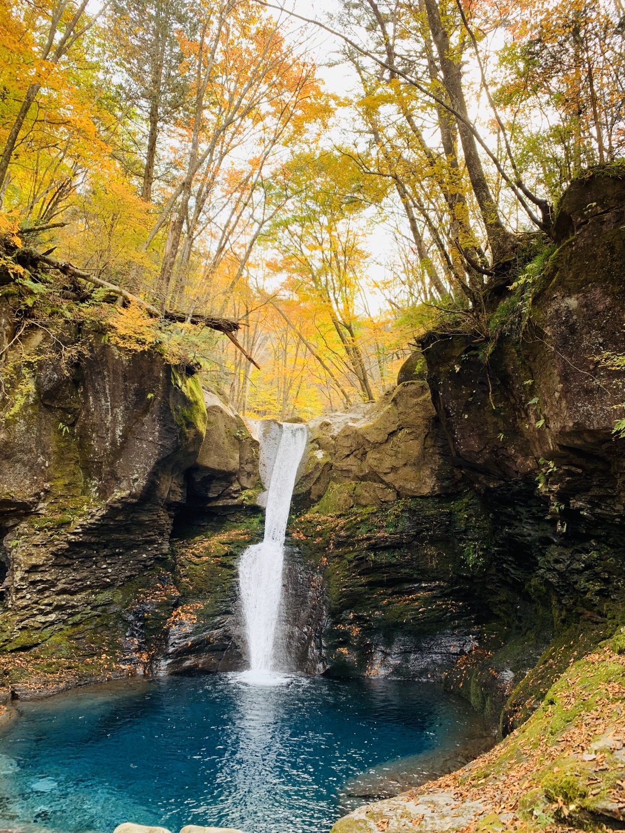 おしらじの滝と紅葉 ひかるさんの高原山 釈迦ヶ岳 鶏頂山の活動データ Yamap ヤマップ