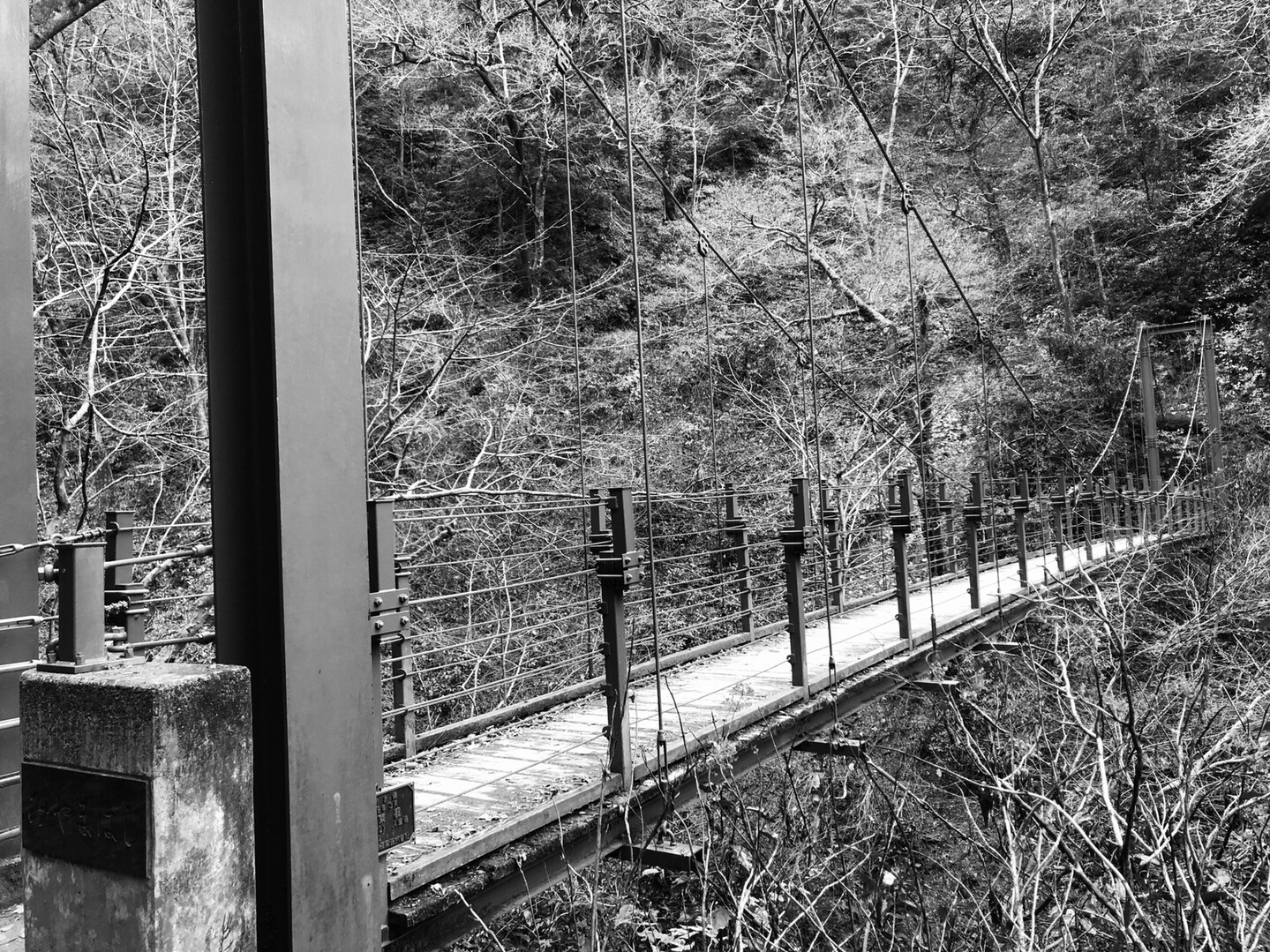 高尾山 De マルタイトマト拉麺 19 12 30 さくーんさんの高尾山 陣馬山 景信山の活動日記 Yamap ヤマップ