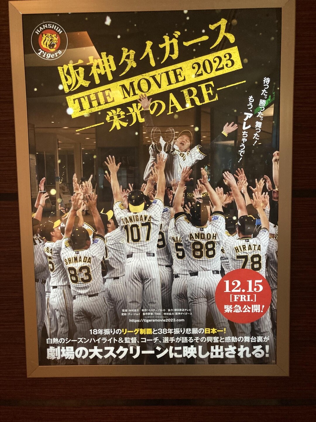 遊戯王　ヒストリーアーカイブコレクション　PSA10 History Archive Collection 収録カード 未使用に近い]PSA10