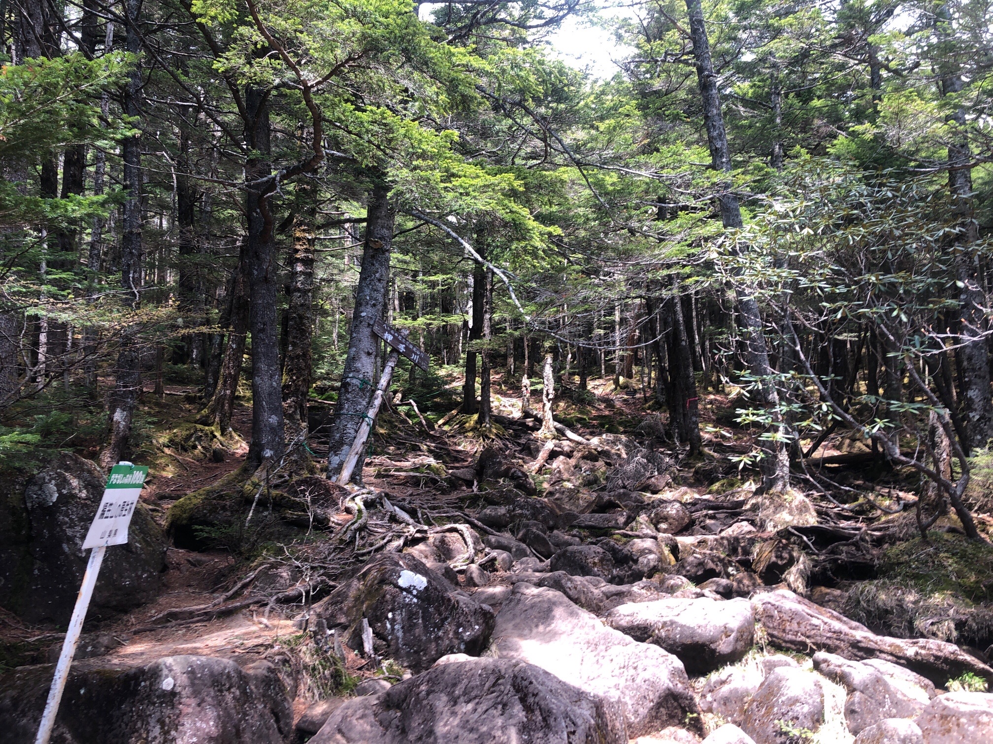 ここから、岩場の急登の始まり