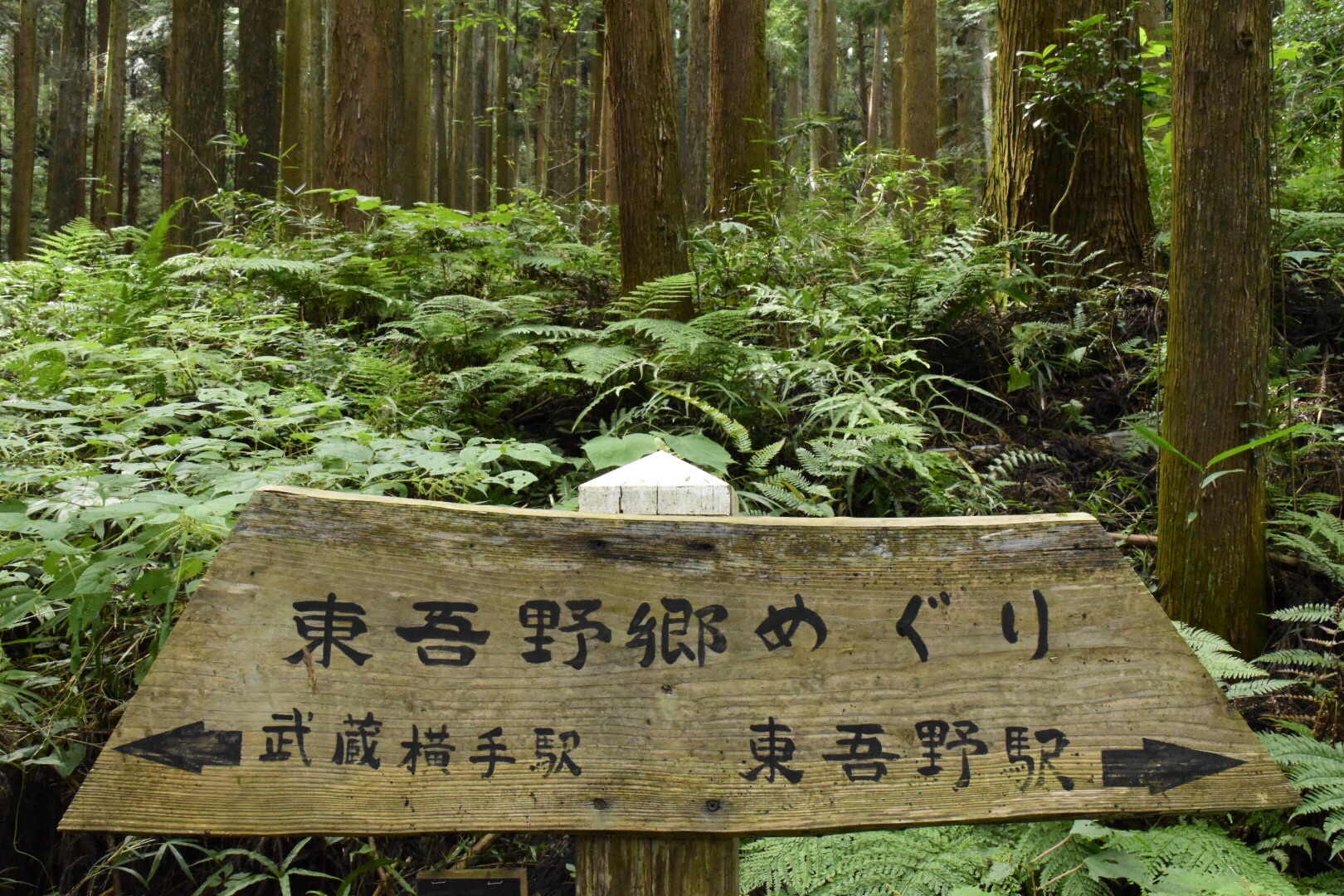 東吾野駅 武蔵横手駅経由高麗駅 19 09 22 ひでさんのヤマノススメ巡礼マップ 天覚山 大高山 子の権現 の活動データ Yamap ヤマップ