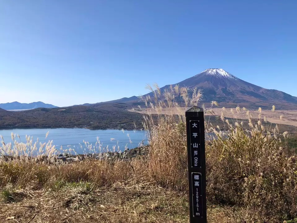 大平山 山梨県南都留郡山中湖村 の最新登山情報 人気の登山ルート 写真 天気など Yamap ヤマップ